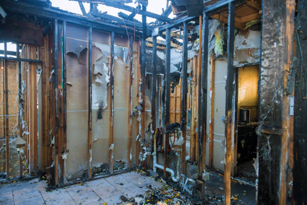 Professional Smoke Damage Restoration technician working in Libertytown, MD